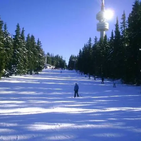 Ski House Pamporovo Holiday home