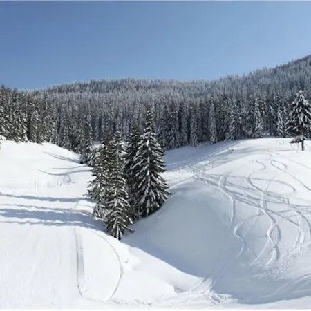 Holiday home Ski House Pamporovo Momchilovtsi (Smolyan)